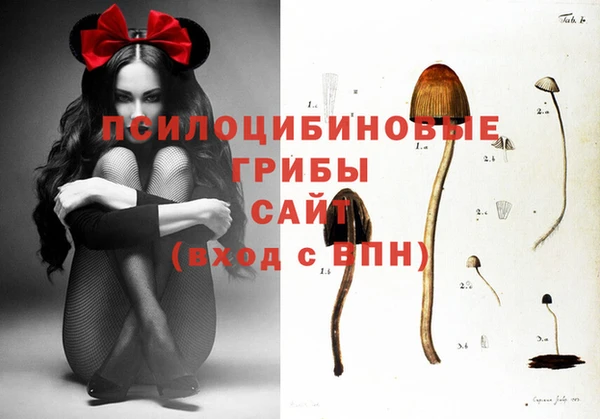 COCAINE Дмитров