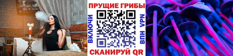 Псилоцибиновые грибы мицелий  это как зайти  Дербент 